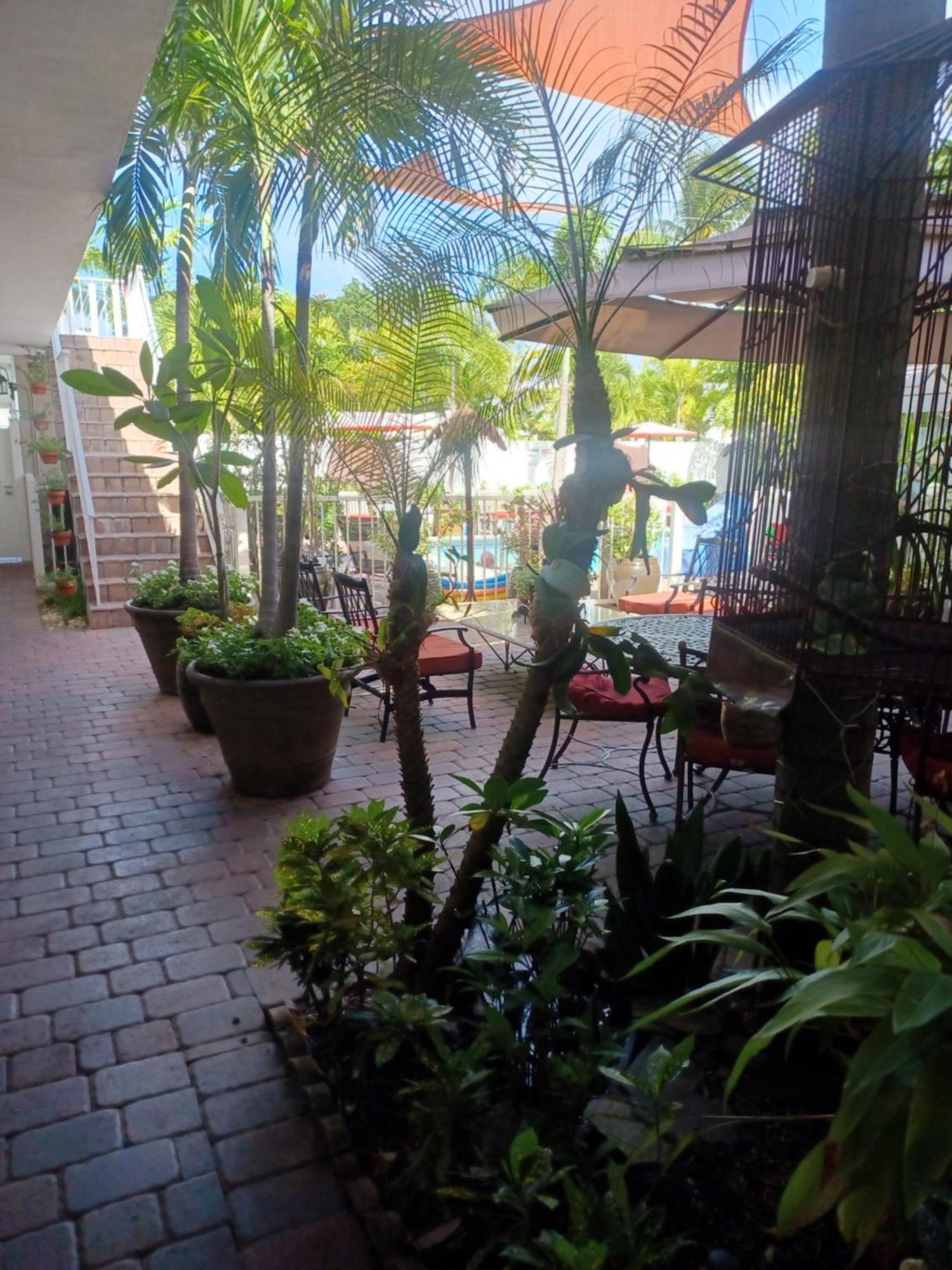 The Big Coconut Guesthouse - Gay Men'S Resort Fort Lauderdale Exterior foto