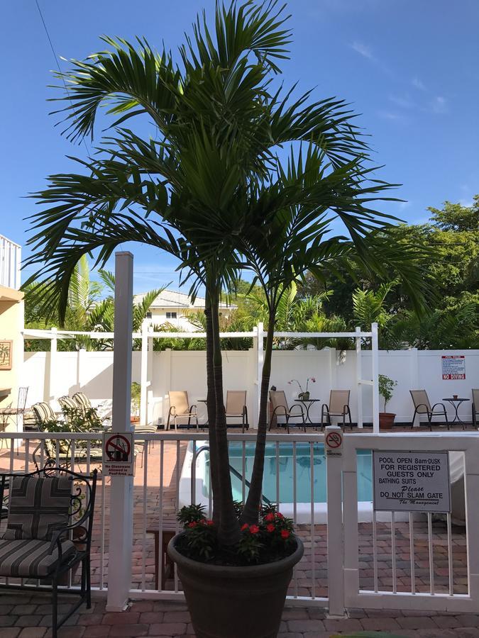 The Big Coconut Guesthouse - Gay Men'S Resort Fort Lauderdale Exterior foto