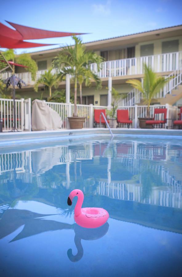 The Big Coconut Guesthouse - Gay Men'S Resort Fort Lauderdale Exterior foto