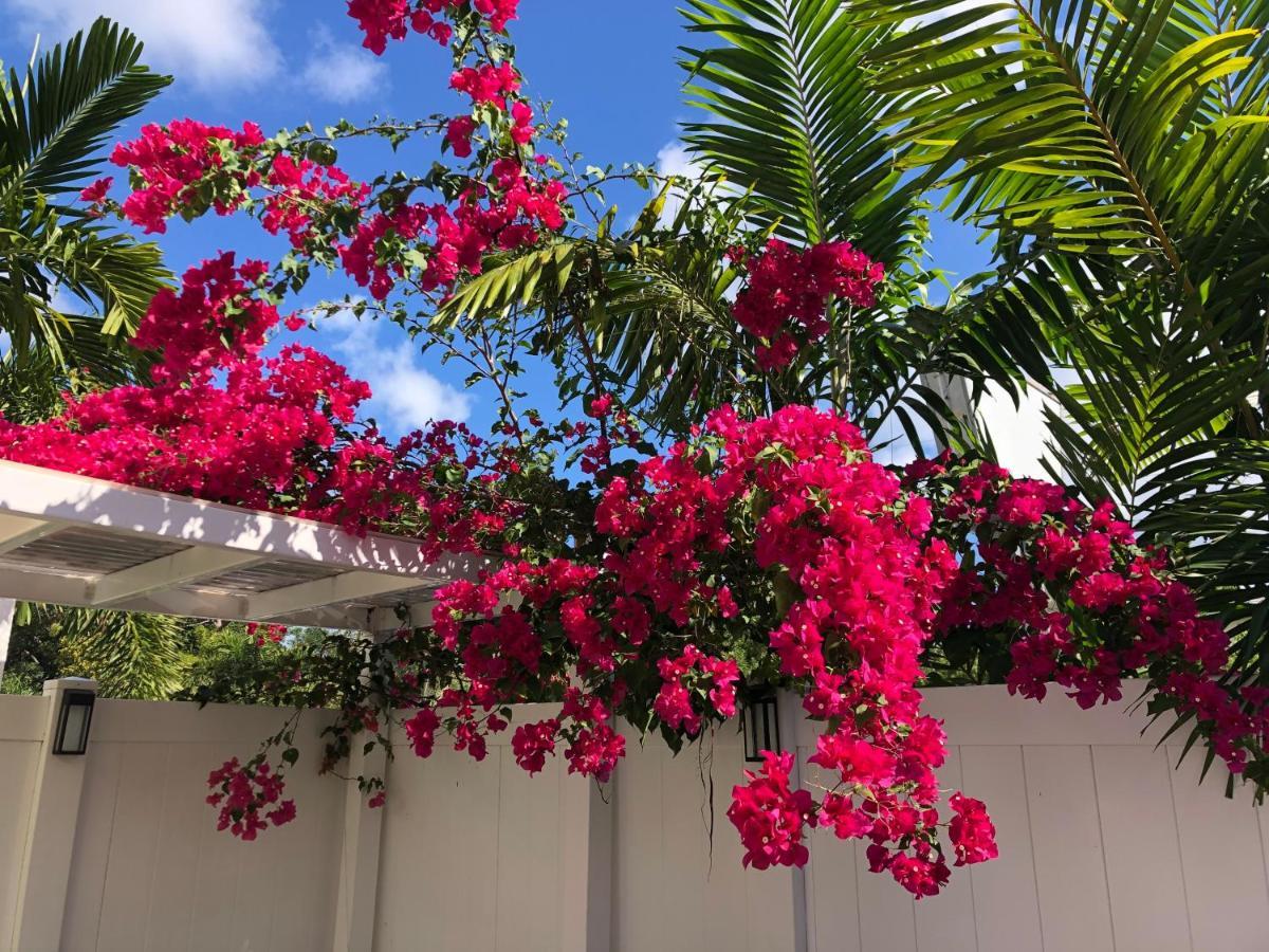 The Big Coconut Guesthouse - Gay Men'S Resort Fort Lauderdale Exterior foto